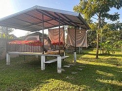 Tent in a bamboo hut under the mango trees